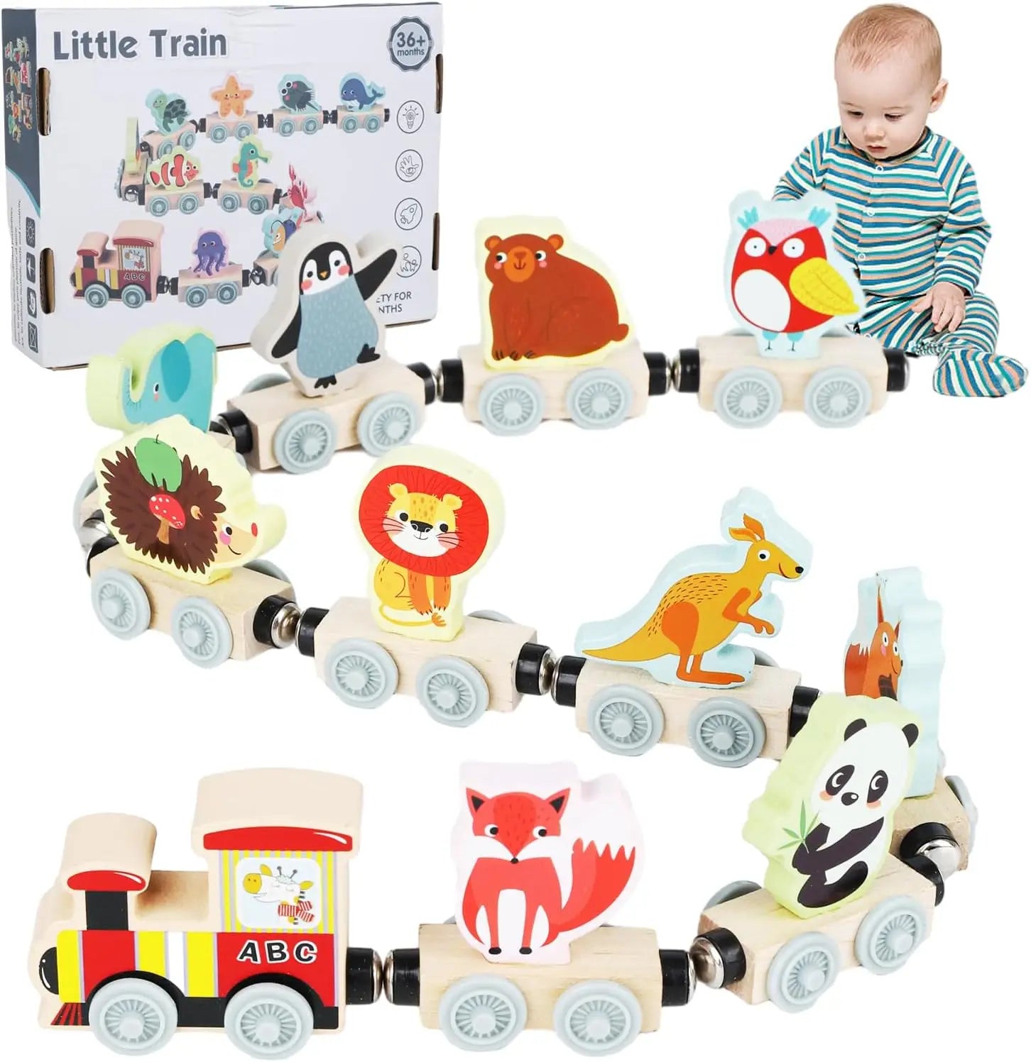 Educational Magnetic Wooden Train